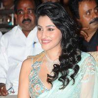 Anjali Lavania - Panja Audio Release - Pictures | Picture 128268